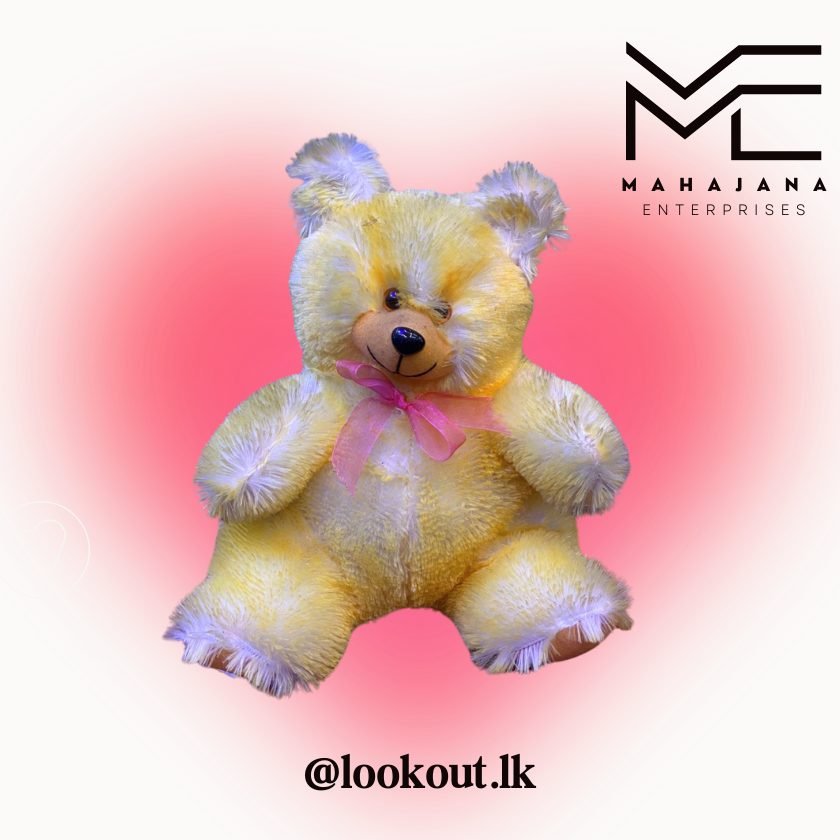 Kids Teddy Bear