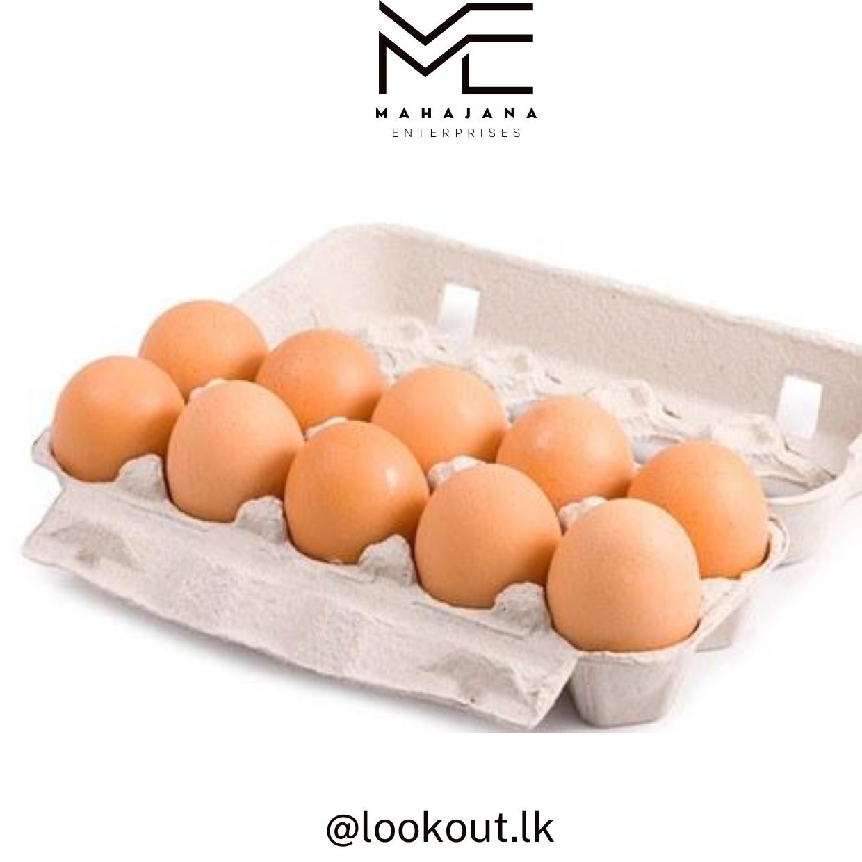 Fresh Chicken Egg 10 pcs Medium