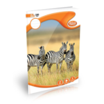 Atlas A4 Book CR 160Pgs (=) Single Ruled
